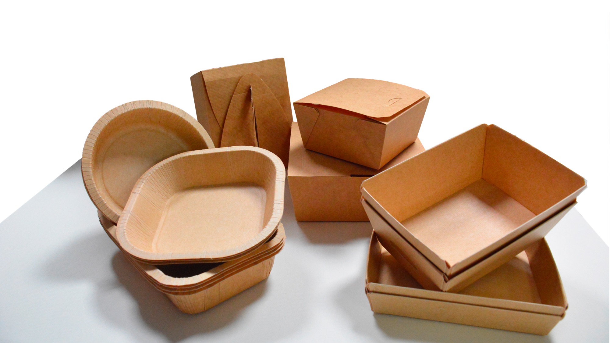 Piatti di carta 100% compostabili, confezione da 150 piatti usa e getta biodegradabili resistenti – Piatti bianchi