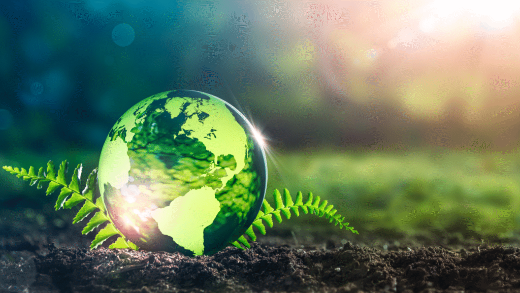 riduzione impronta ambientale